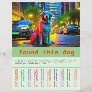 Flyer Cachorro Encontrado