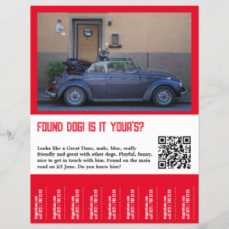 Flyer Cachorro Encontrado Desprenda