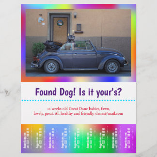 Flyer Cachorro Encontrado Desprenda colorido