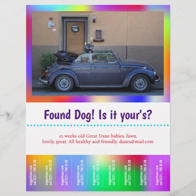 Flyer Cachorro Encontrado Desprenda colorido (Frente)