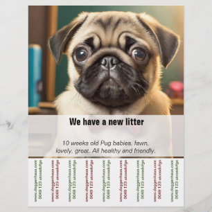 Flyer Cachorro filhote vendendo Gatinho