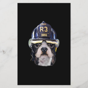 Flyer Cachorro francês bonito Vestindo capacete de bombe