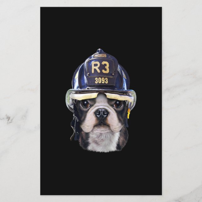 Flyer Cachorro francês bonito Vestindo capacete de bombe (Frente)