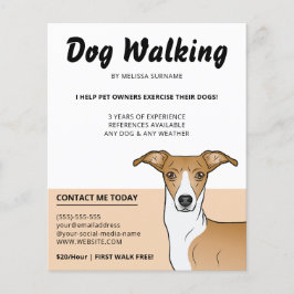 Flyer Cachorro Italiano Fawn e Branco - Passeador de Cãe