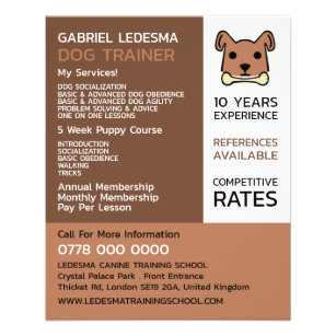 Flyer Cachorro Marrom, Publicidade para Treinador de Cac