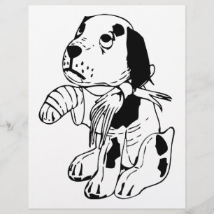 Flyer Cachorro Triste Com Perna Quebrada