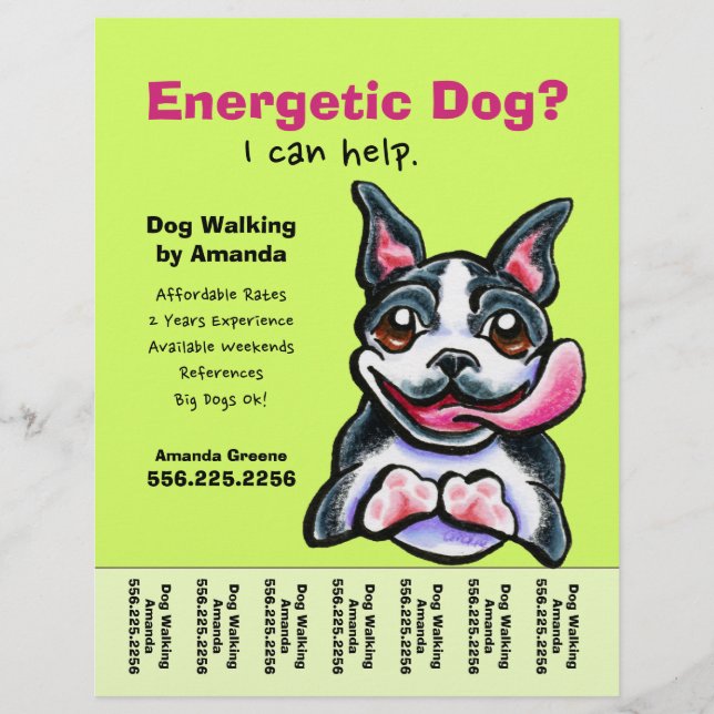 Flyer Cachorro Walker caminhando em Boston Tear Sheet (Frente)