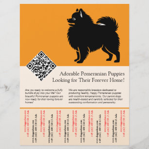 Flyer 🐾 Cachorros Premium Pomerânia Disponíveis Agora l