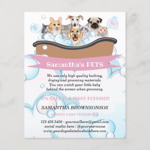 Flyer Cães Mais Fofos Gatos Spa Babá Tosa Serviços de Pe