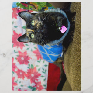 Flyer Calico II