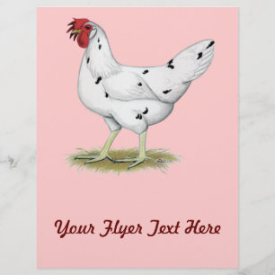 Flyer California White Hen