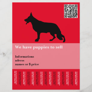 Flyer Cão Pastor Minimal personalizado