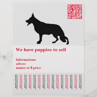 Flyer Cão pastor minimal personalizado