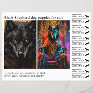 Flyer Cão pastor preto