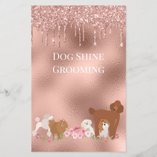 Flyer Cão Pet Grooming Sitting Business Glitt (Frente)