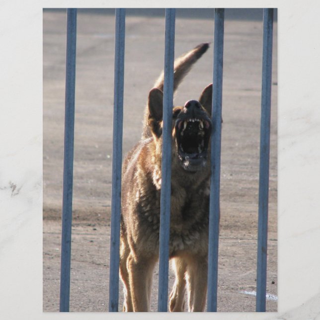 Flyer Cão que ladra (Frente)