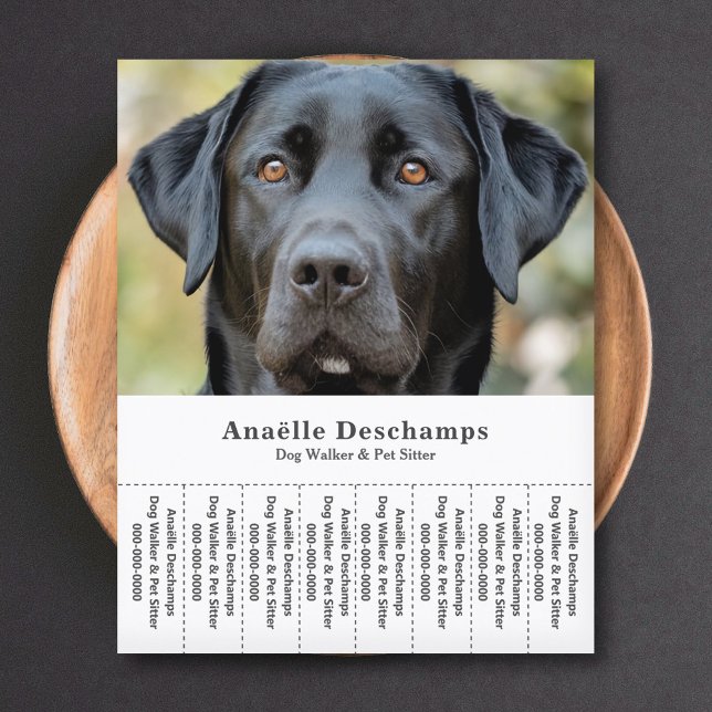 Flyer Cão Walker Pet Sitter Foto: Rasgadura (Dog Walker Pet Sitter Photo Tear Off Strips Flyer)