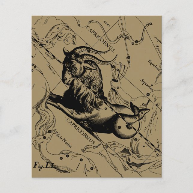 Flyer Capricórnio Constelação Hevelius 1690 em Taupe (Frente)