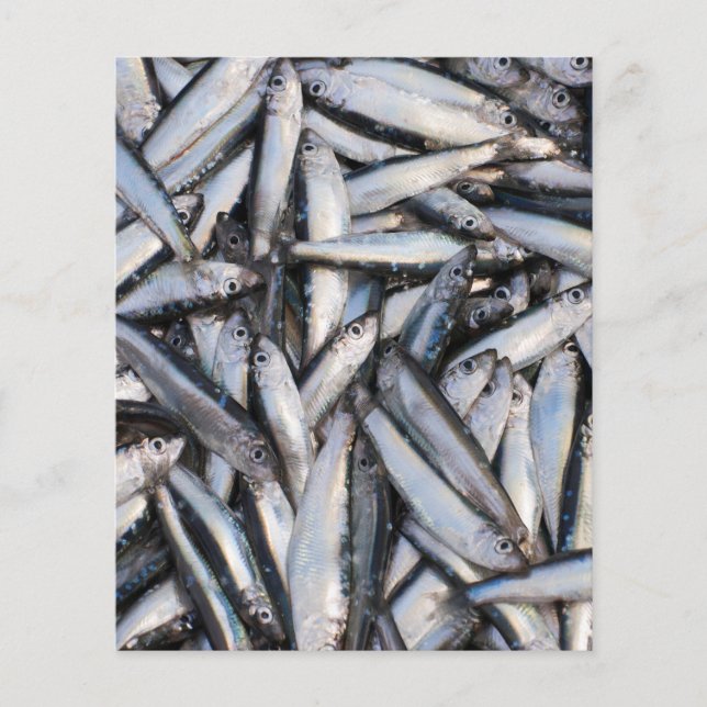 Flyer Capturas de peixe fresco - ingredientes de comida. (Frente)