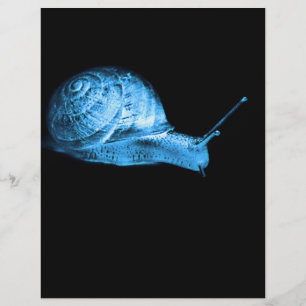 Flyer caracol néon