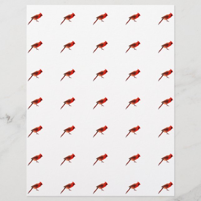 Flyer Cardeal(s) (Frente)