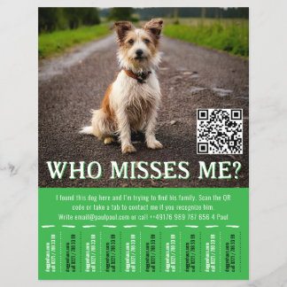 Flyer Cartaz de Cão Encontrado Editável Com QR Code & Ab