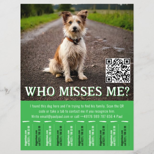 Flyer Cartaz de Cão Encontrado Editável Com QR Code & Ab (Frente)