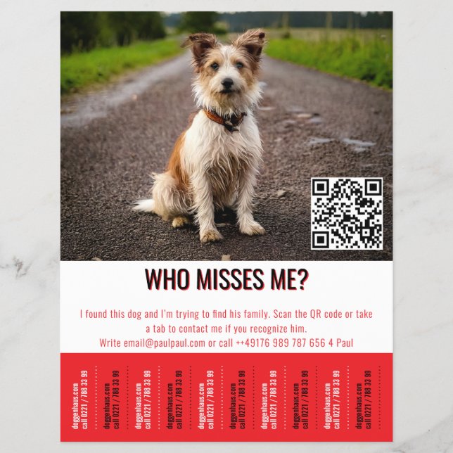 Flyer Cartaz de Cão Encontrado Editável Com QR Code e Ab (Frente)