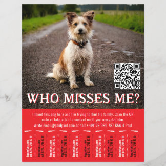 Flyer Cartaz de Cão Encontrado Editável Com QR Code e Ab
