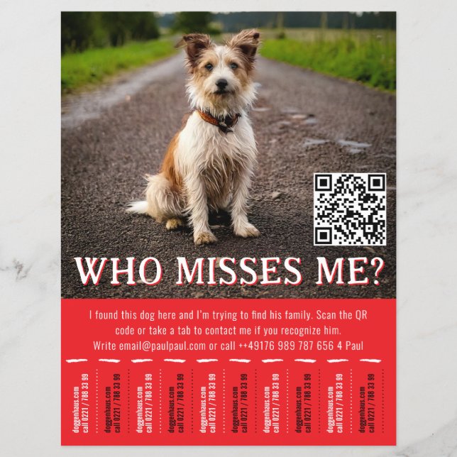 Flyer Cartaz de Cão Encontrado Editável Com QR Code e Ab (Frente)