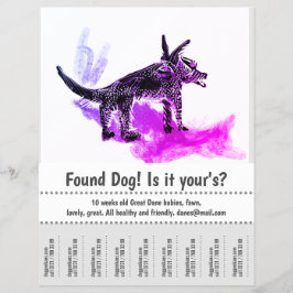 Flyer Cartaz de Design Gráfico de Cachorro Encontrado