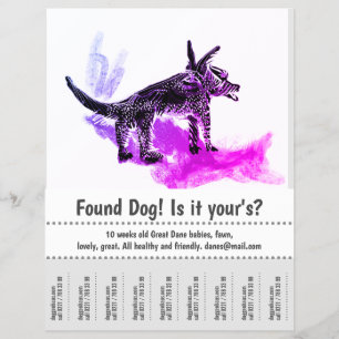 Flyer Cartaz de Design Gráfico de Cachorro Encontrado