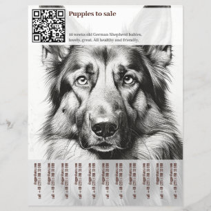 Flyer Cartaz do Cão Pastor Alemão