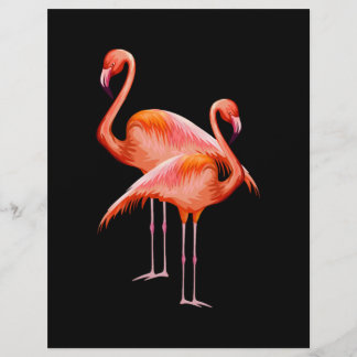 Flyer Cartoon de imagem vetorial de vida selvagem Bird f