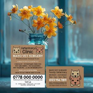 Flyer Cat & Dog, Veterinária, Serviço Veterinário
