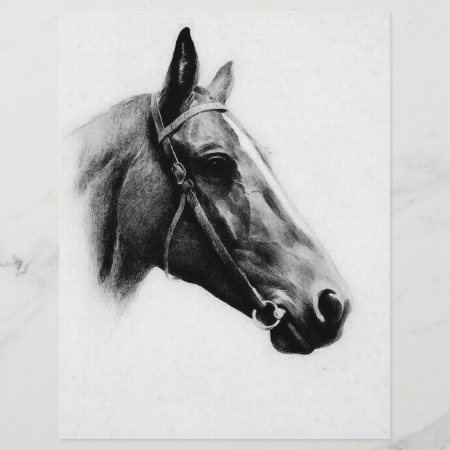 Flyer Cavalo Preto e Branco (Frente)