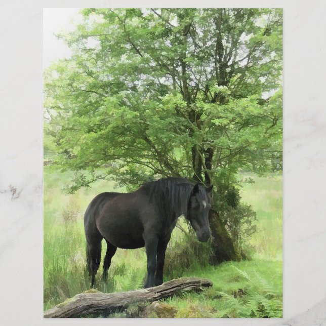 FLYER CAVALOS (Frente)