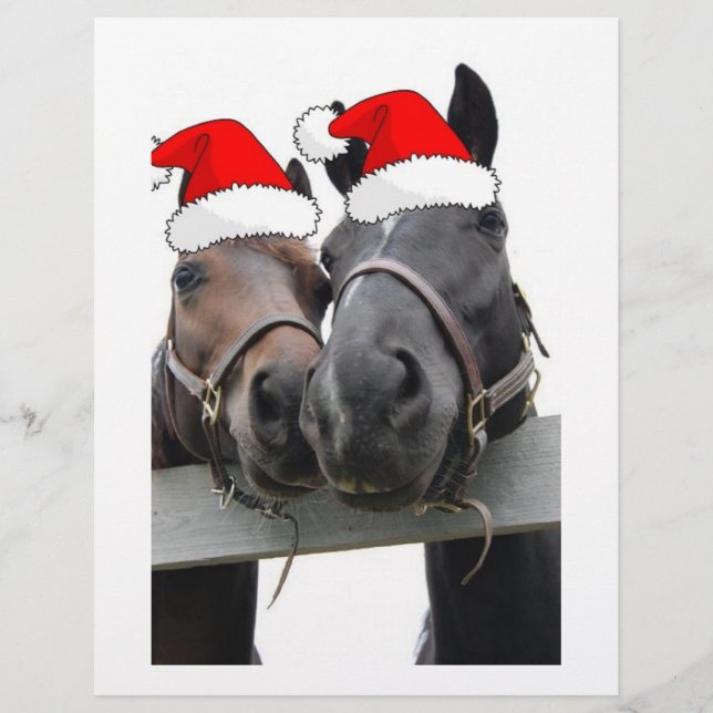 Flyer Cavalos do País de Natal (Frente)