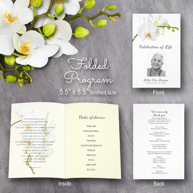 Flyer Celebração da Vida do Programa Funeral Orquídeo (Orchid Celebration of Life Program - 8.5" x 11", 80 lb paper, you need to fold in half when received)