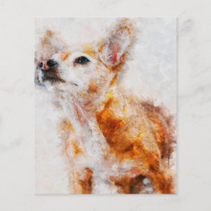 Flyer Chihuahua Dog Portrait_Dog Lover