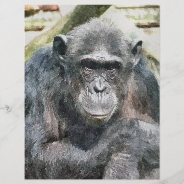 FLYER CHIMPANZÉS (Frente)