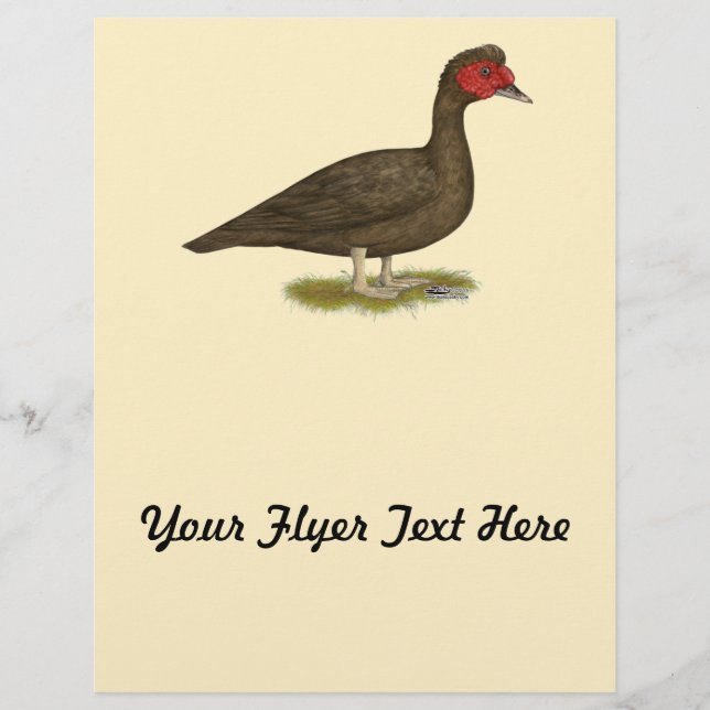 Flyer Chocolate Muscovy Drake (Frente)