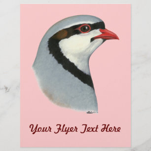 Flyer Chukar:  Cabeça da perdiz