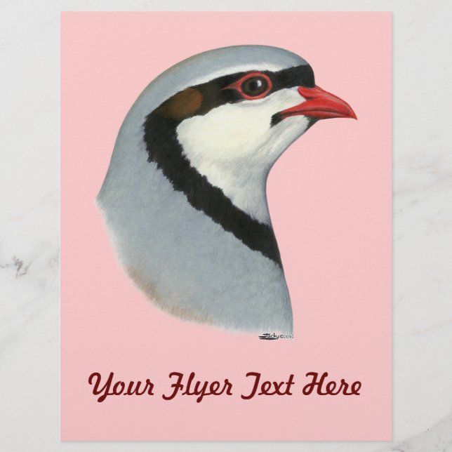 Flyer Chukar: Cabeça de Partucho (Frente)