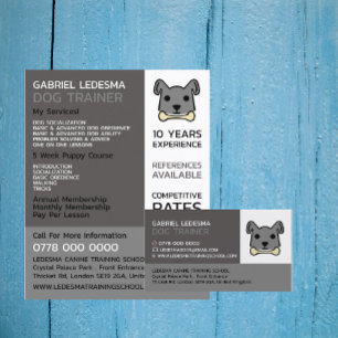 Flyer Cinza Cão, Dog Trainer Publicidade