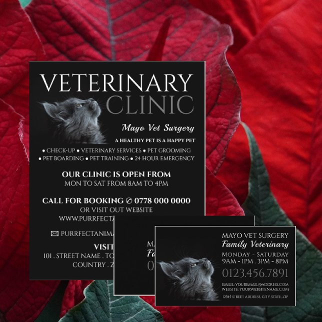 Flyer Cinza Cat, veterinário, serviço veterinário (Criador carregado)