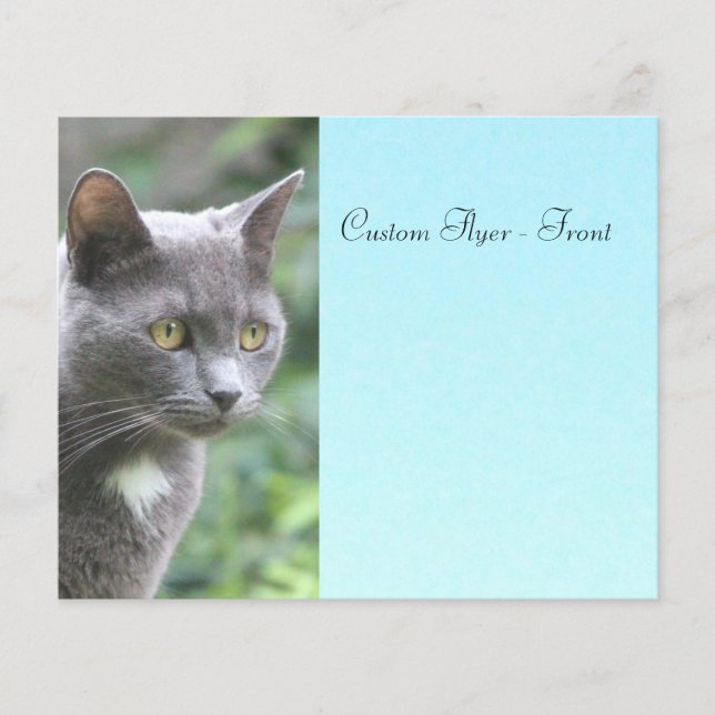 Flyer Cinza Gatinho com azul (Frente)