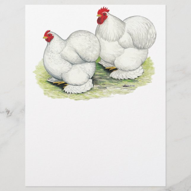 Flyer Cochin: Bantams Brancos (Frente)