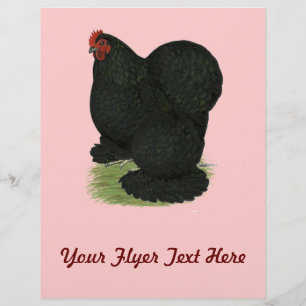 Flyer Cochin: Black Hen