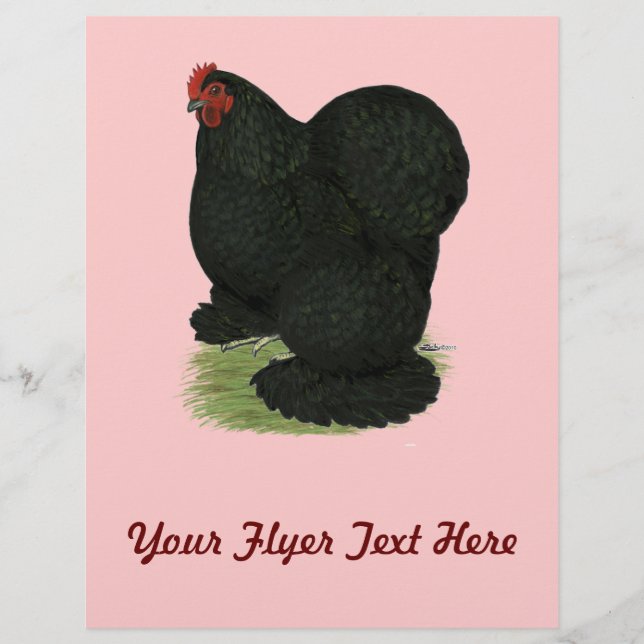 Flyer Cochin: Black Hen (Frente)